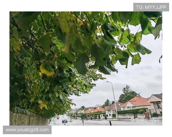曼谷雨季：湿润了情怀，也淋漓了生活